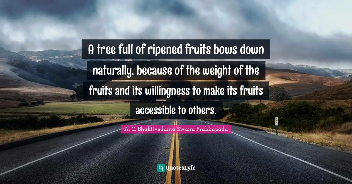 A. C. Bhaktivedanta Swami Prabhupada Quotes: A tree full of ripened fruits bows down naturally, because of the weight of the fruits and its willingness to make its fruits accessible to others.