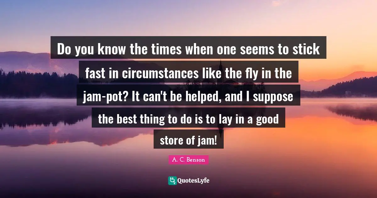 Do you know the times when one seems to stick fast in circumstances like the fly in the jam-pot? It can't be helped, and I suppose the best thing to do is to lay in a good store of jam!