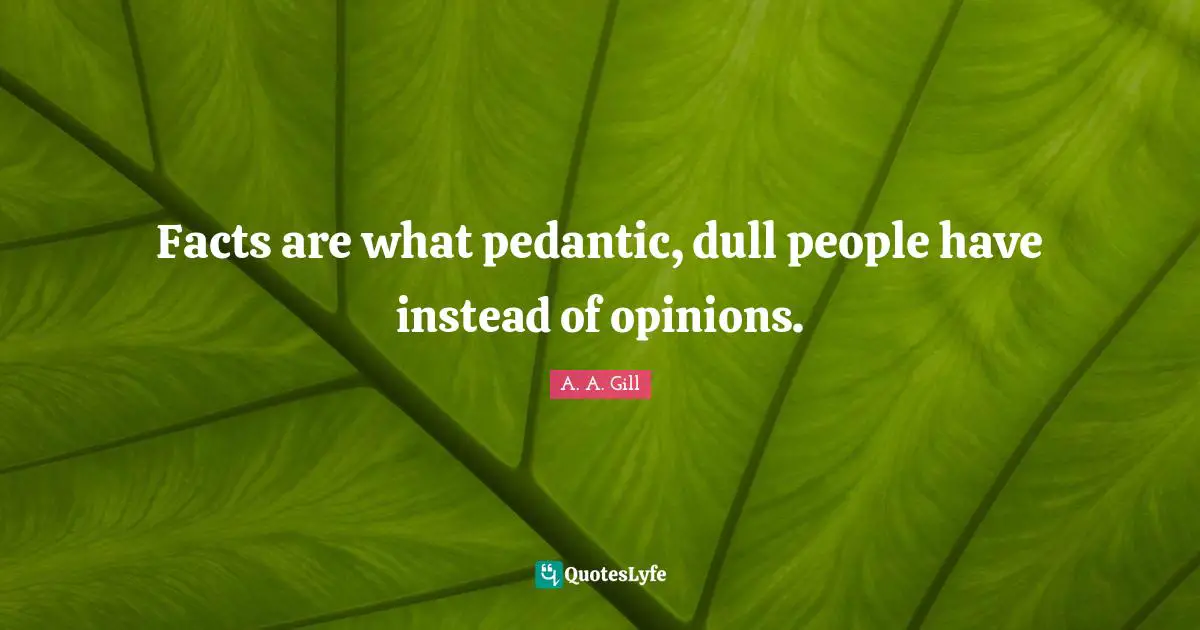 Dull Quotes: "Facts are what pedantic, dull people have instead of opinions."