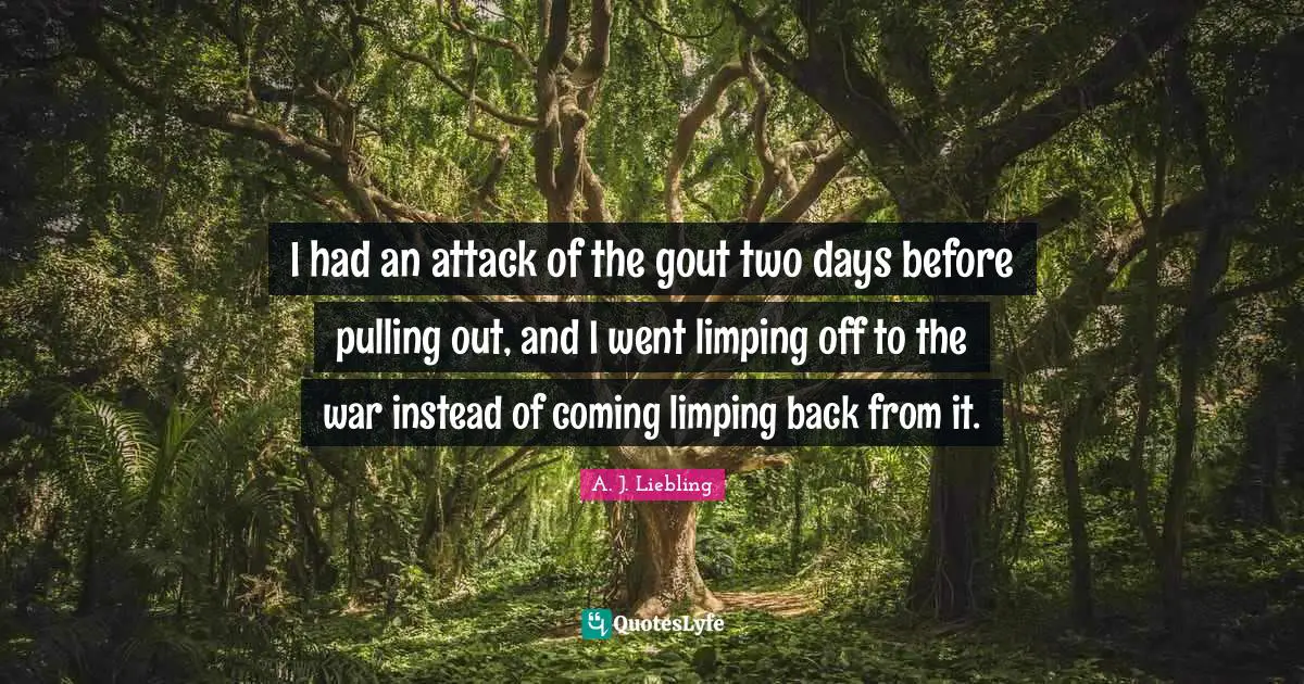 I had an attack of the gout two days before pulling out, and I went limping off to the war instead of coming limping back from it.