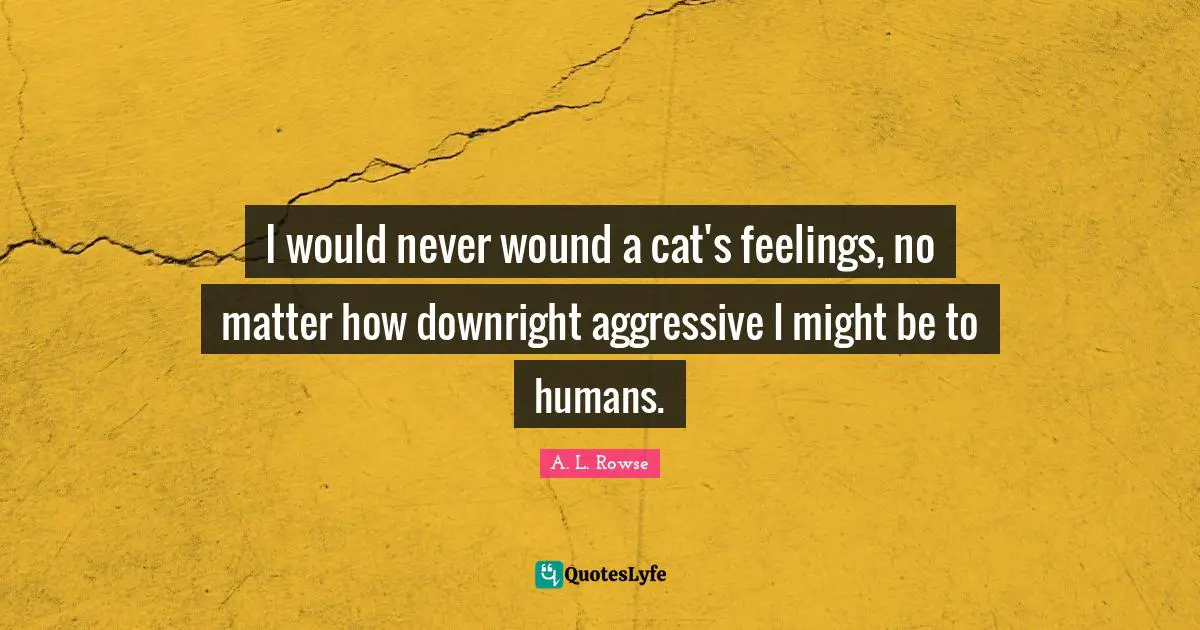 I would never wound a cat's feelings, no matter how downright aggressive I might be to humans.