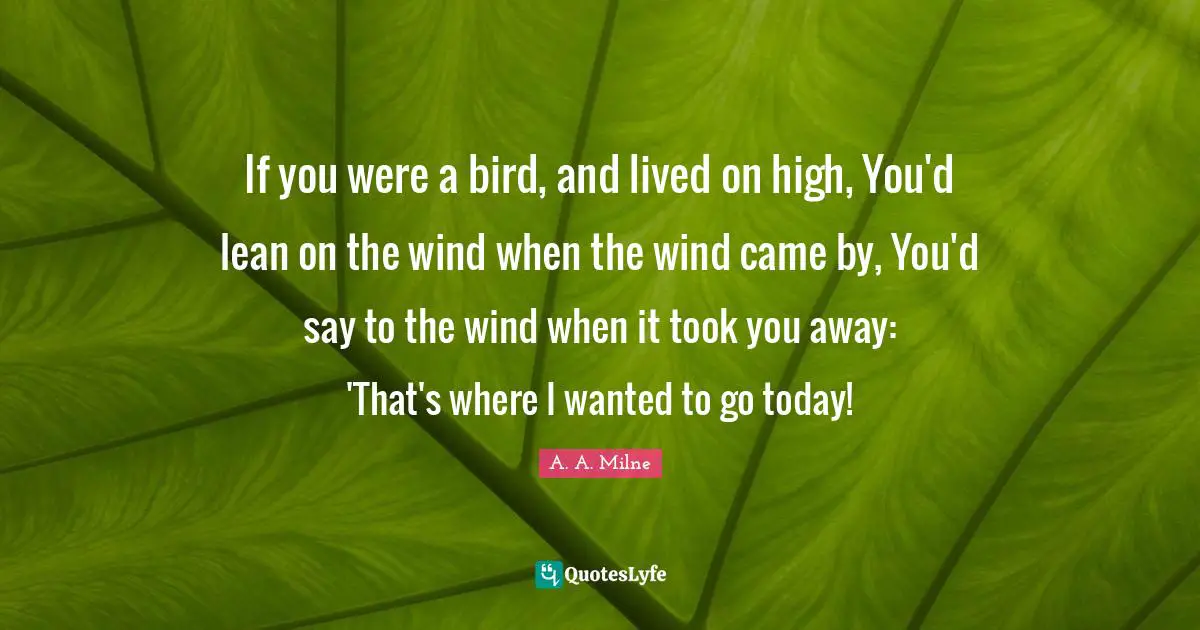 If you were a bird, and lived on high, You'd lean on the wind when the wind came by, You'd say to the wind when it took you away: 'That's where I wanted to go today!