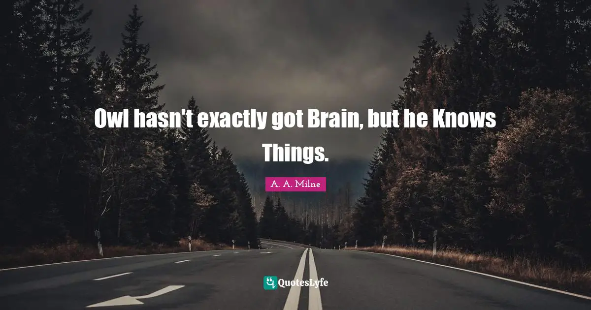 Owl hasn't exactly got Brain, but he Knows Things.