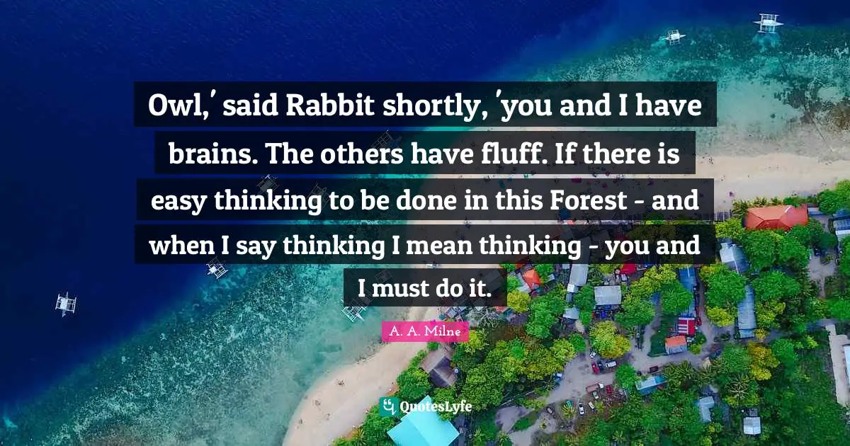 Owl,' said Rabbit shortly, 'you and I have brains. The others have fluff. If there is easy thinking to be done in this Forest - and when I say thinking I mean thinking - you and I must do it.