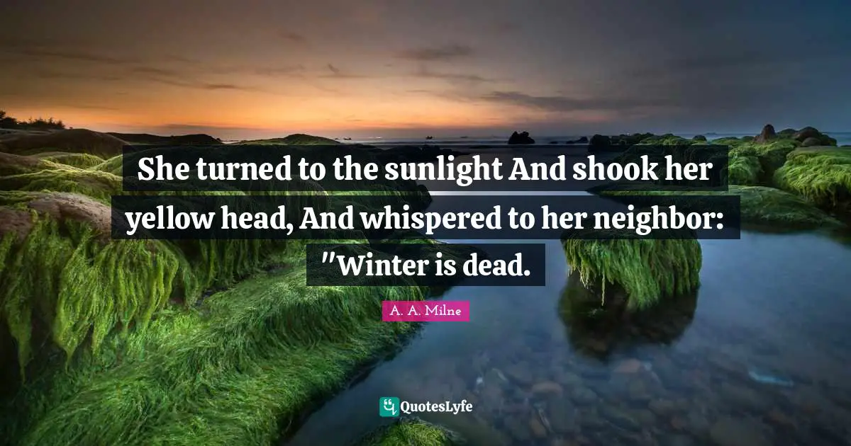 Sunlight Quotes: "She turned to the sunlight And shook her yellow head, And whispered to her neighbor: "Winter is dead."