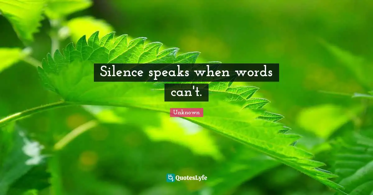 Unknown Quotes: Silence speaks when words can't.