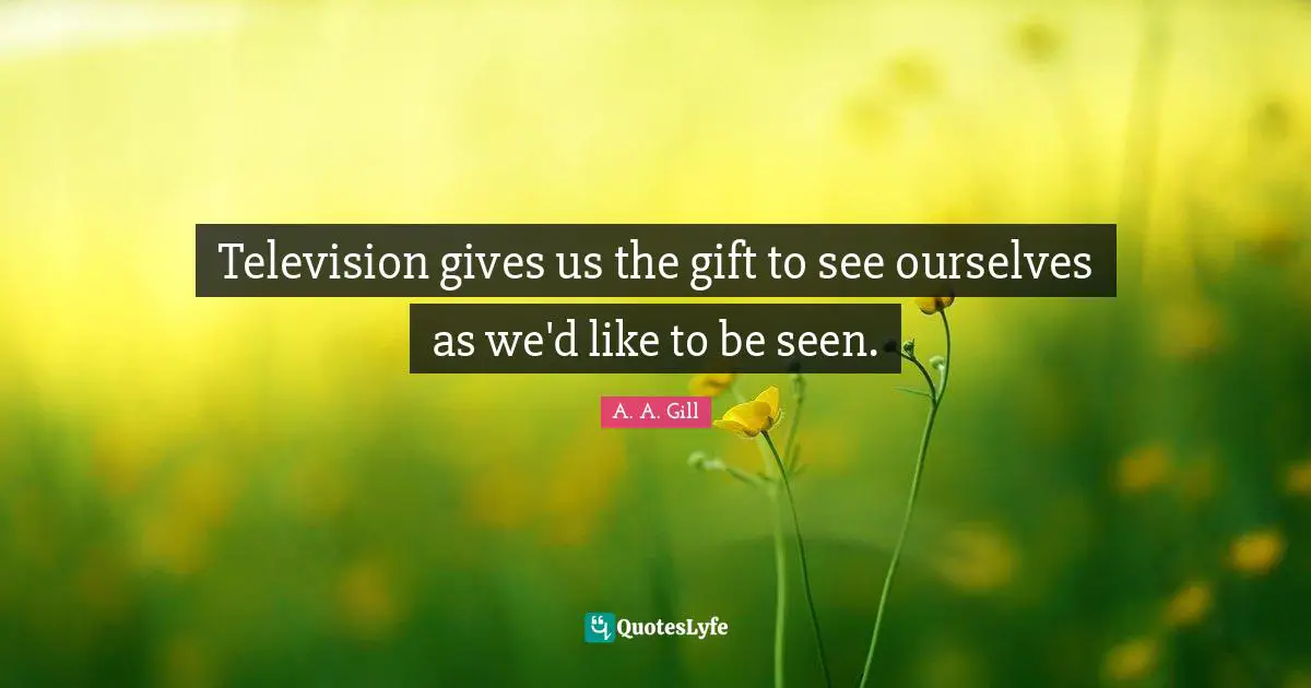 Television gives us the gift to see ourselves as we'd like to be seen.