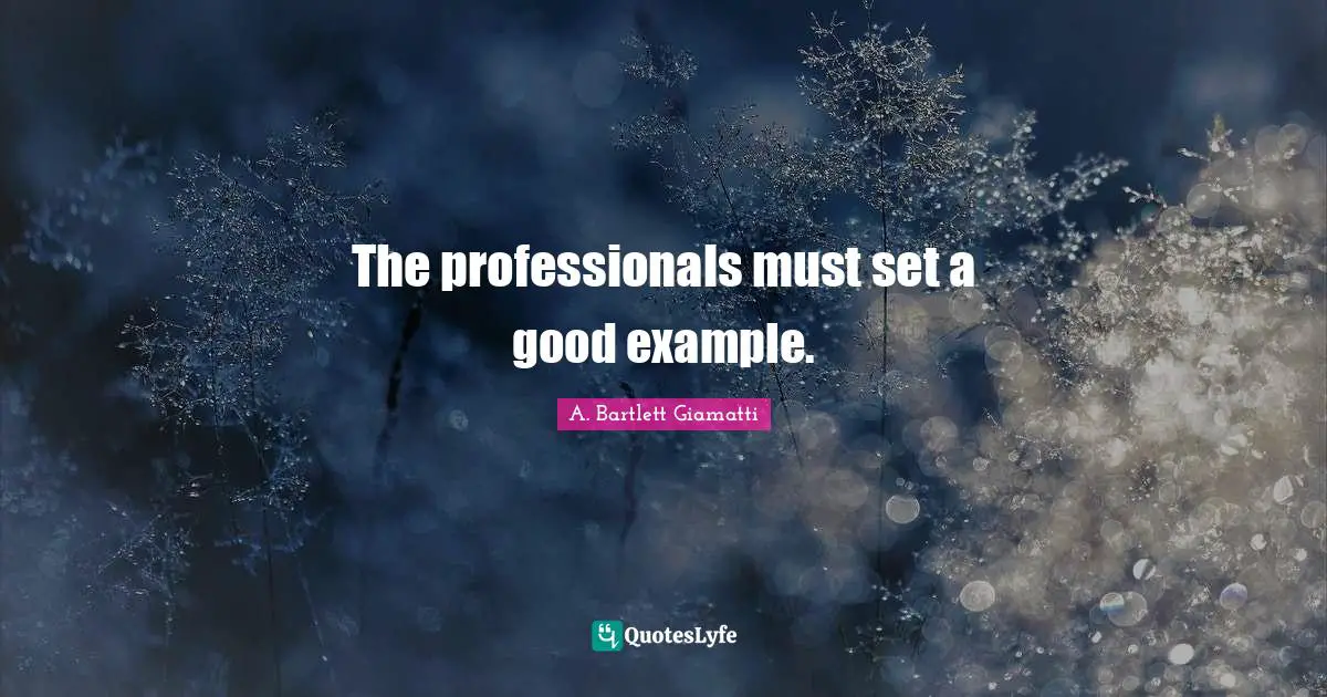 The professionals must set a good example.