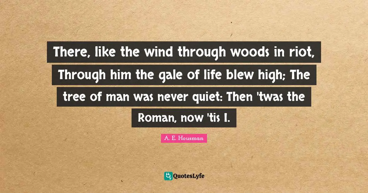 There, like the wind through woods in riot, Through him the gale of life blew high; The tree of man was never quiet: Then 'twas the Roman, now 'tis I.