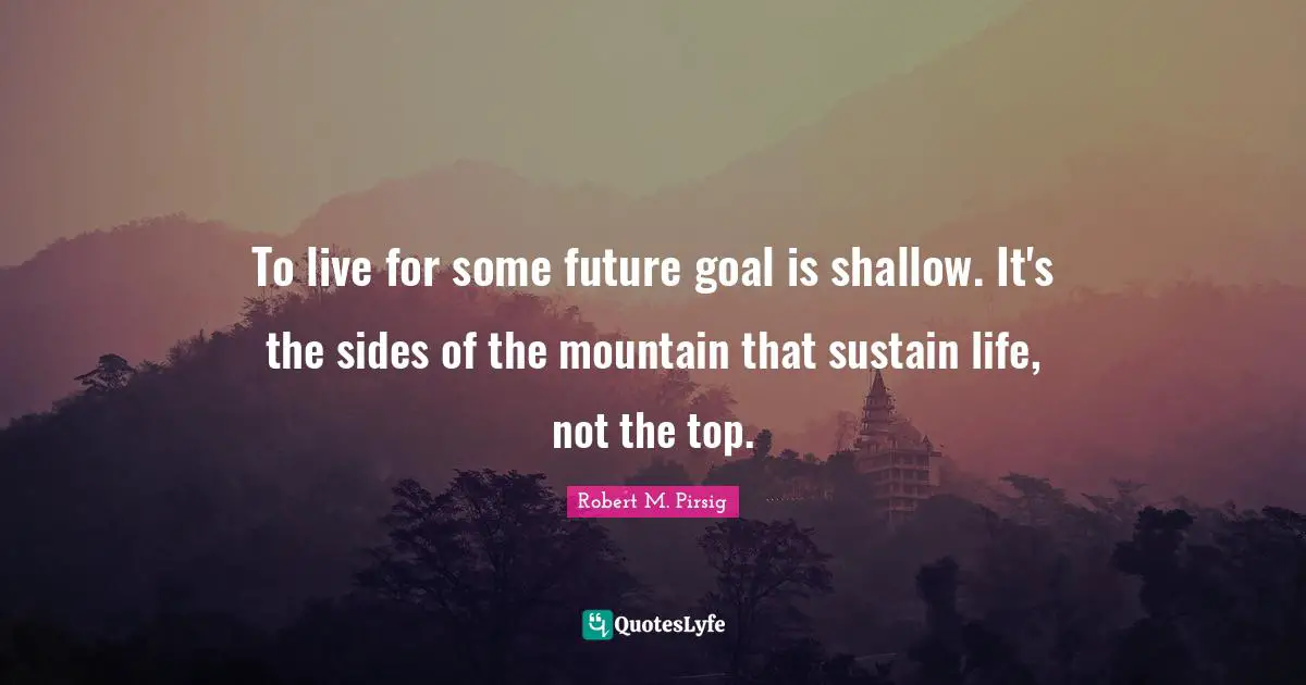 To live for some future goal is shallow. It's the sides of the mountain that sustain life, not the top.