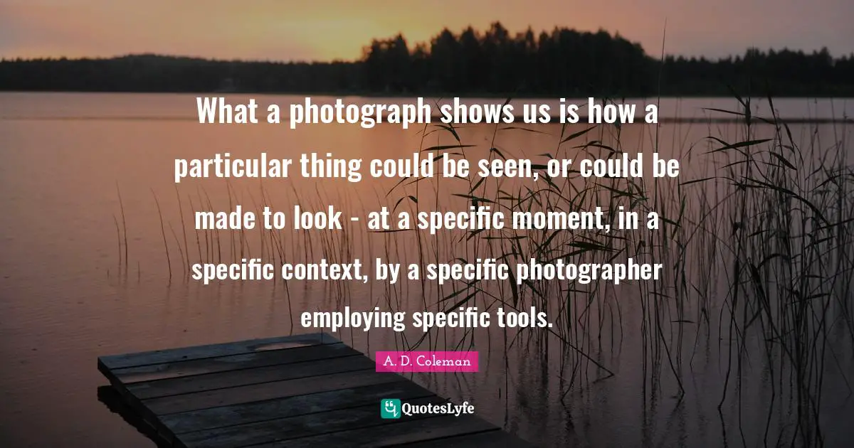What a photograph shows us is how a particular thing could be seen, or could be made to look - at a specific moment, in a specific context, by a specific photographer employing specific tools.