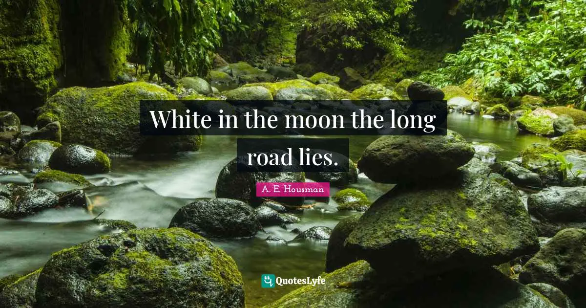 White in the moon the long road lies.