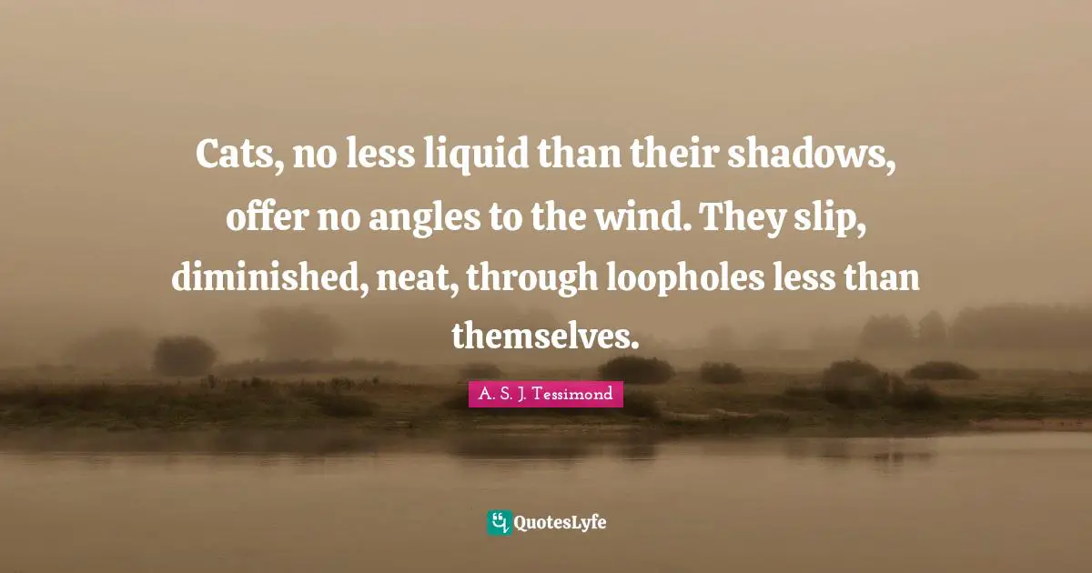 Liquid Quotes: "Cats, no less liquid than their shadows, offer no angles to the wind. They slip, diminished, neat, through loopholes less than themselves."