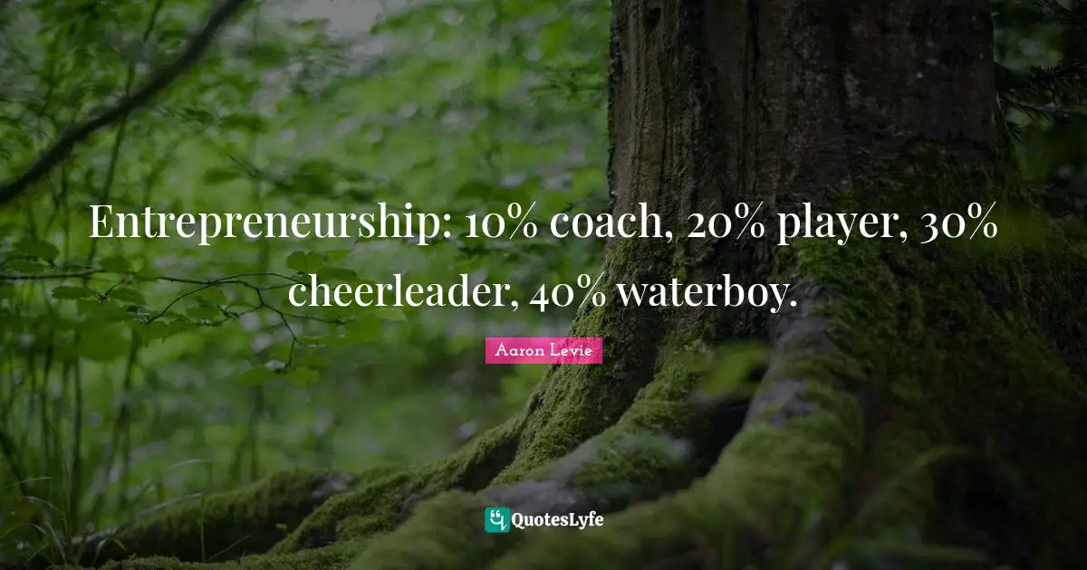 Entrepreneurship Quotes: "Entrepreneurship: 10% coach, 20% player, 30% cheerleader, 40% waterboy."