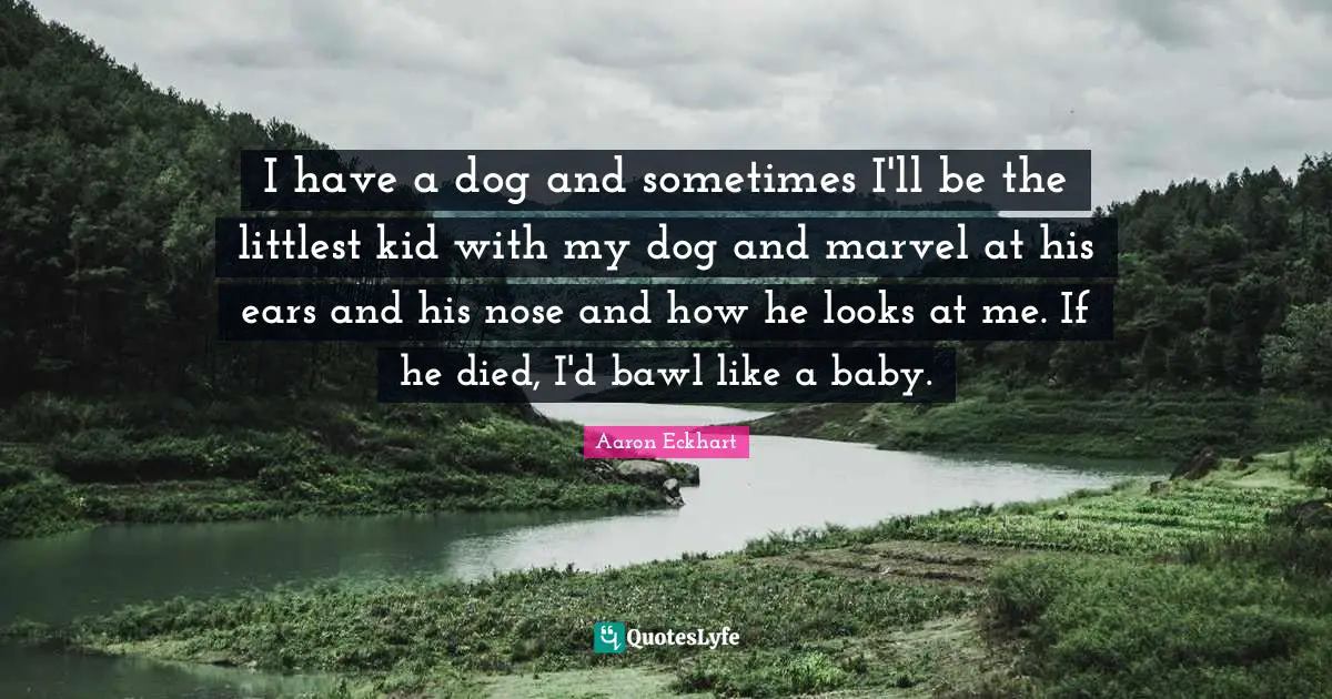 I have a dog and sometimes I'll be the littlest kid with my dog and marvel at his ears and his nose and how he looks at me. If he died, I'd bawl like a baby.