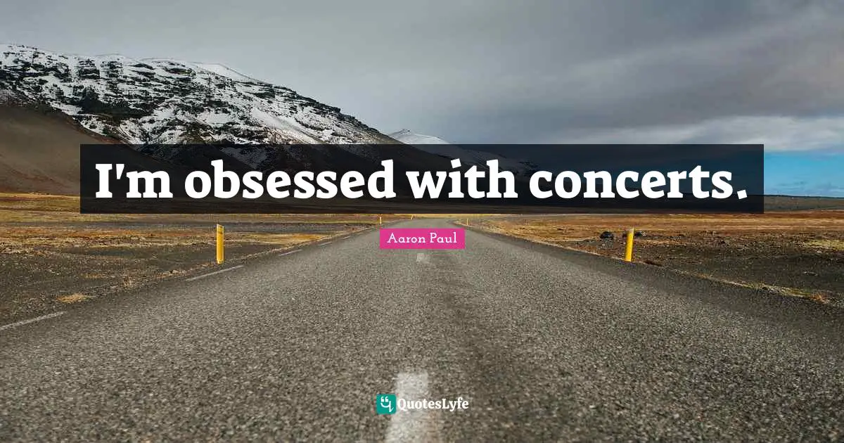 I'm obsessed with concerts.