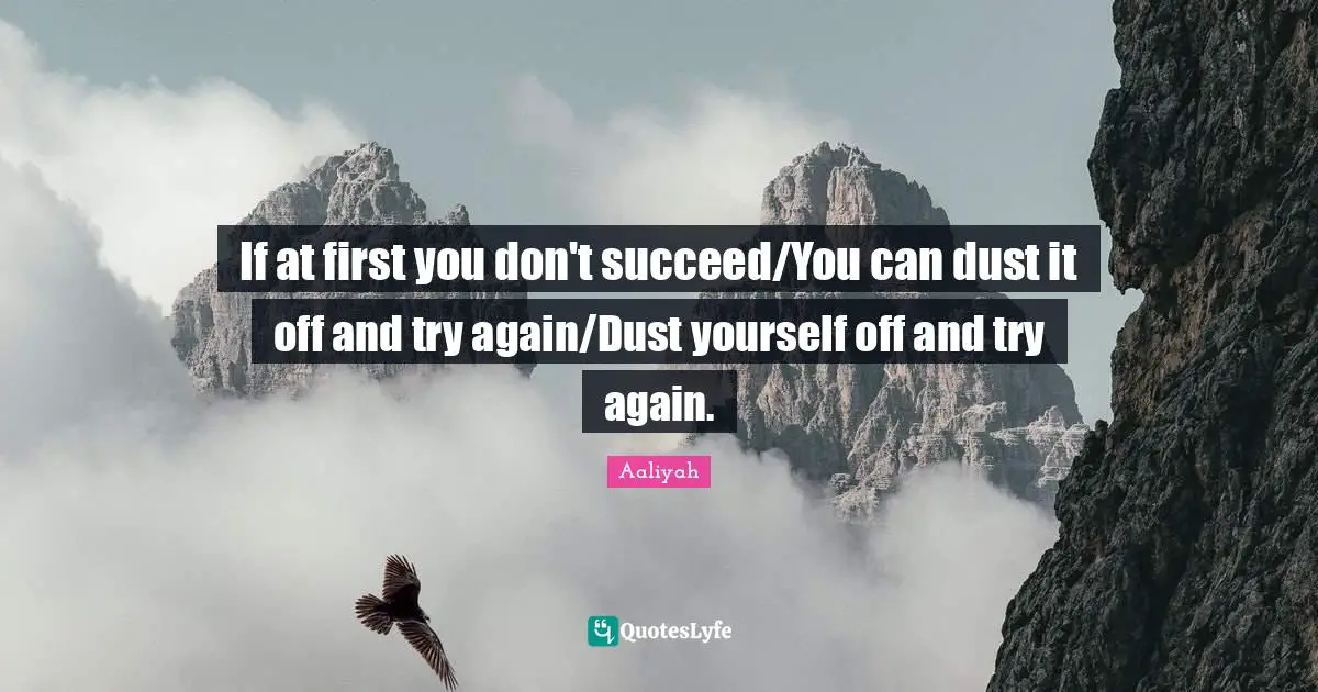 Aaliyah Quotes: "If at first you don't succeed/You can dust it off and try again/Dust yourself off and try again."