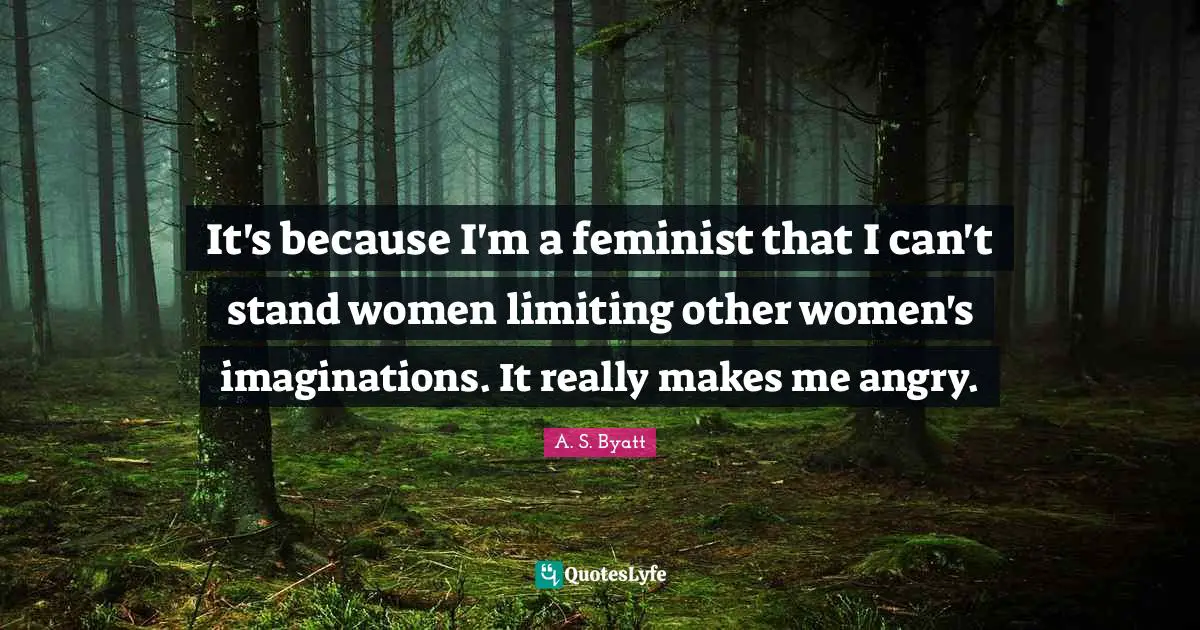 It's because I'm a feminist that I can't stand women limiting other women's imaginations. It really makes me angry.