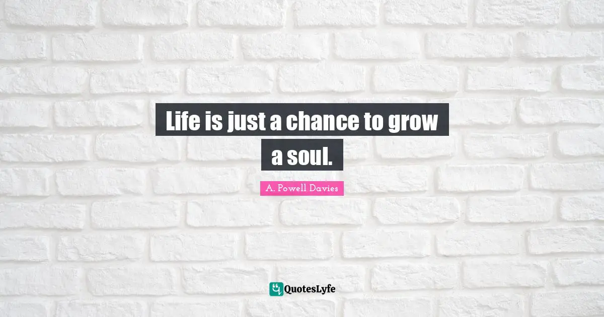 Life is just a chance to grow a soul.