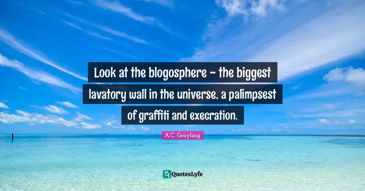 Look at the blogosphere - the biggest lavatory wall in the universe, a palimpsest of graffiti and execration.