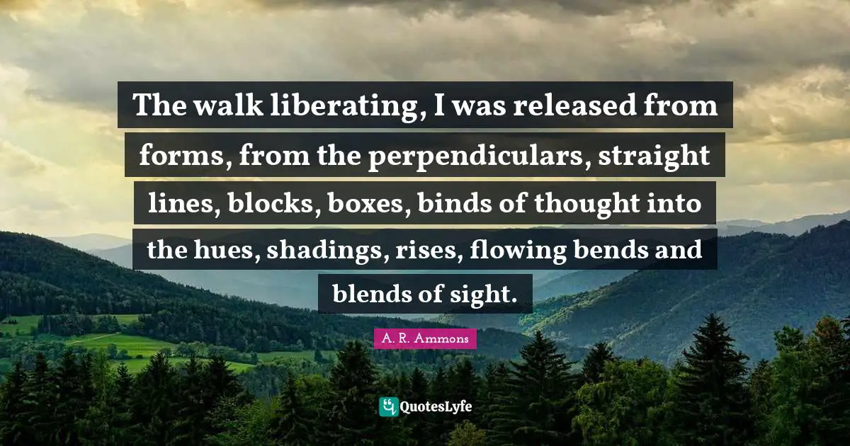 The walk liberating, I was released from forms, from the perpendiculars, straight lines, blocks, boxes, binds of thought into the hues, shadings, rises, flowing bends and blends of sight.