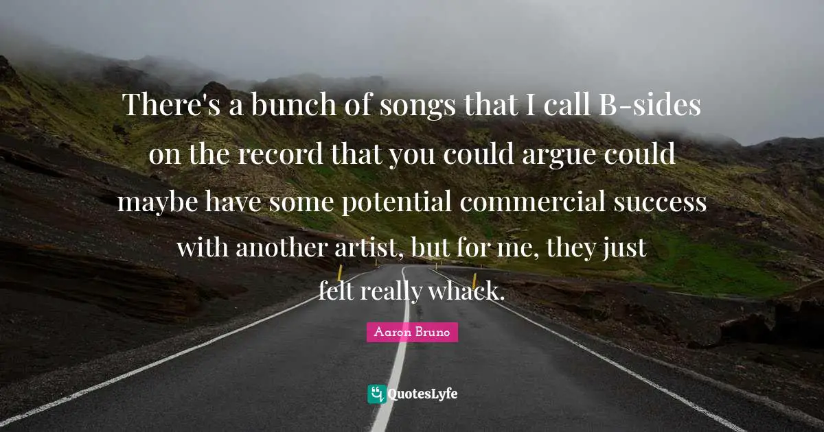 There's a bunch of songs that I call B-sides on the record that you could argue could maybe have some potential commercial success with another artist, but for me, they just felt really whack.