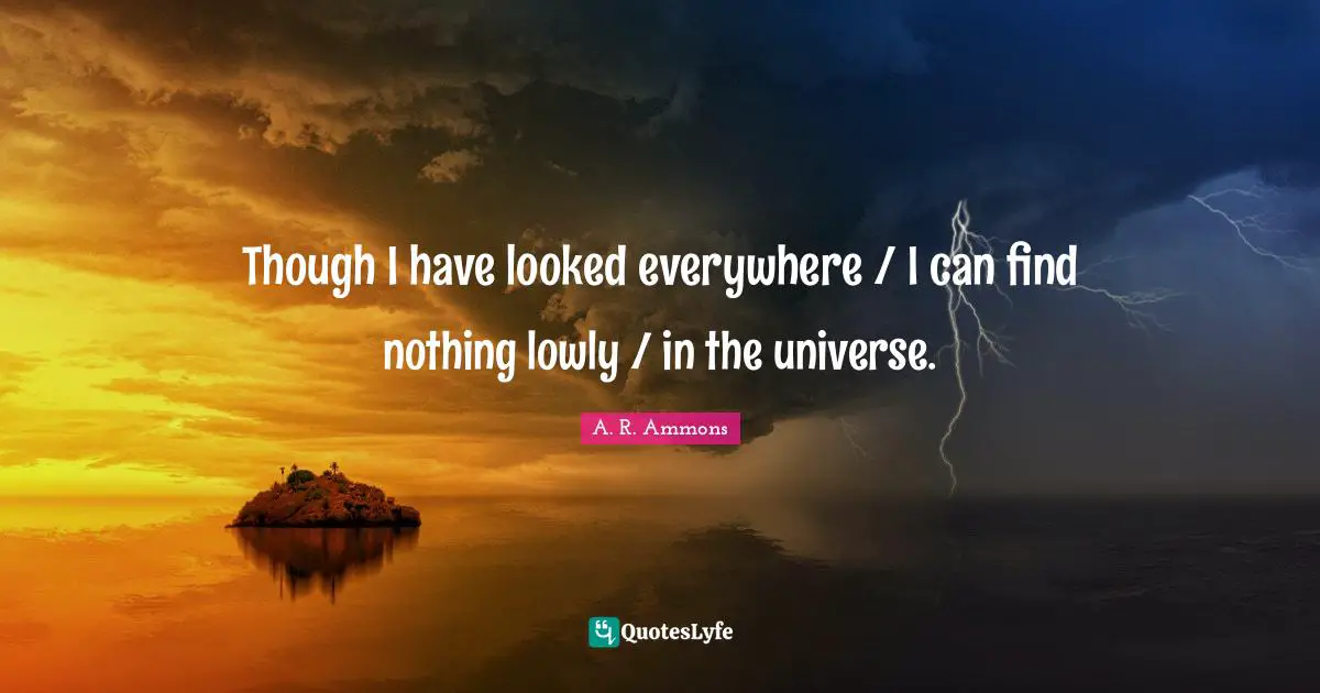 Though I have looked everywhere / I can find nothing lowly / in the universe.