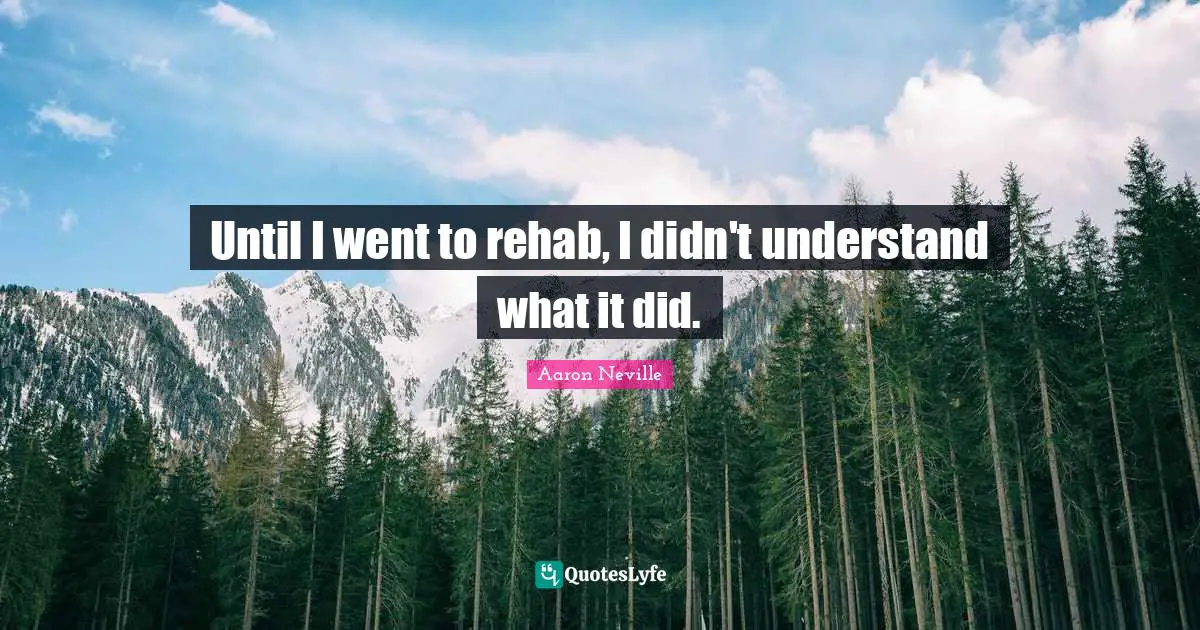 Rehab Quotes: "Until I went to rehab, I didn't understand what it did."