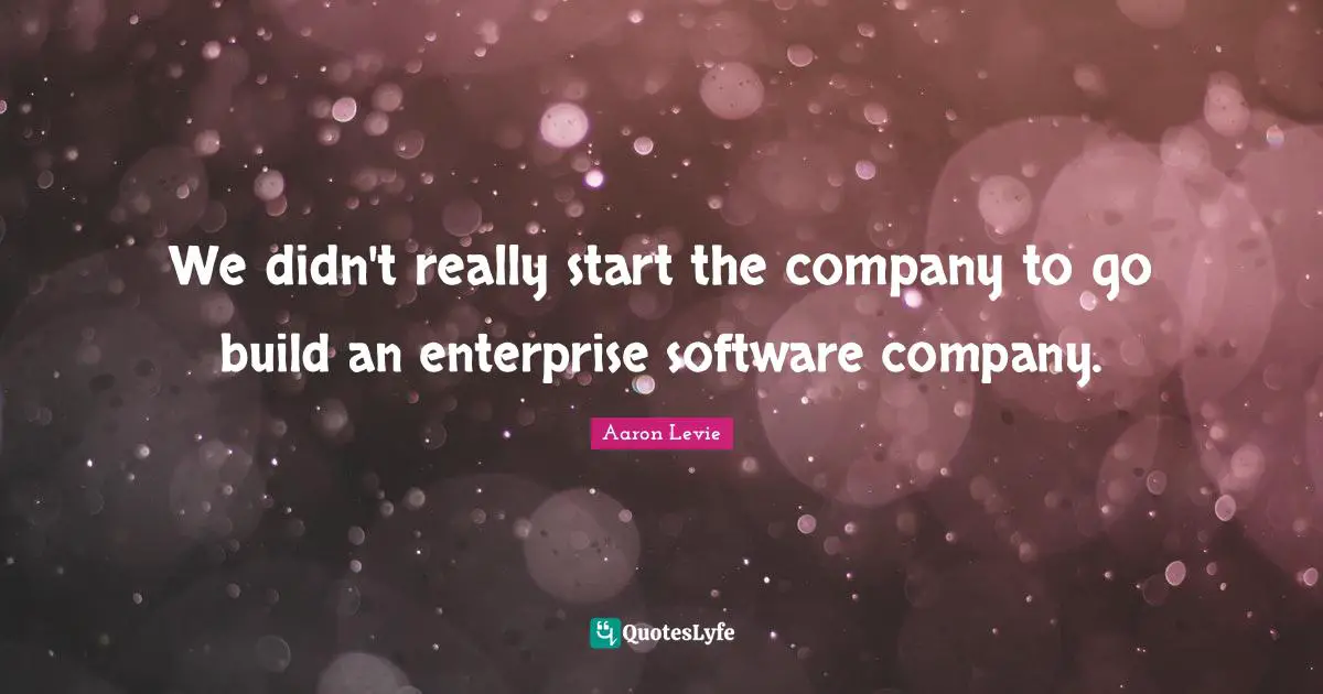 Aaron Levie Quotes: "We didn't really start the company to go build an enterprise software company."