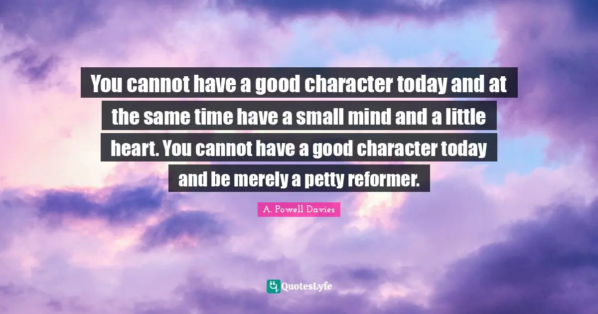 You cannot have a good character today and at the same time have a small mind and a little heart. You cannot have a good character today and be merely a petty reformer.
