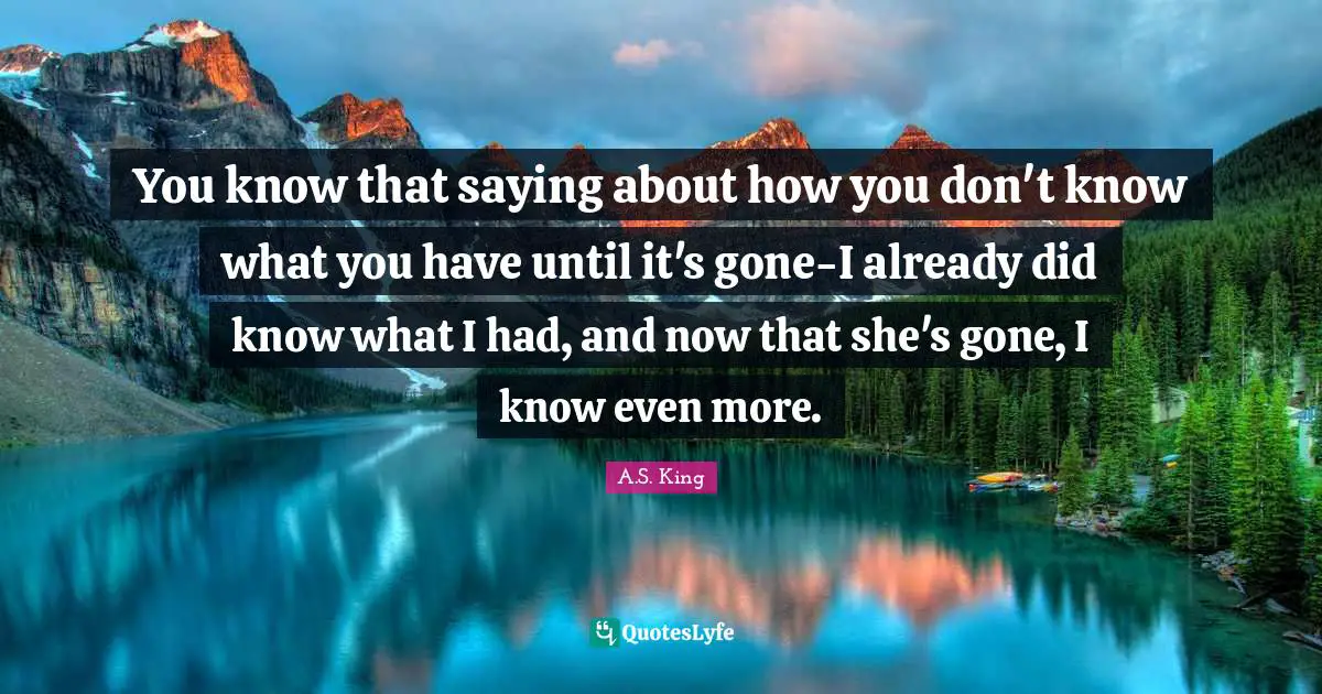 You know that saying about how you don't know what you have until it's gone-I already did know what I had, and now that she's gone, I know even more.