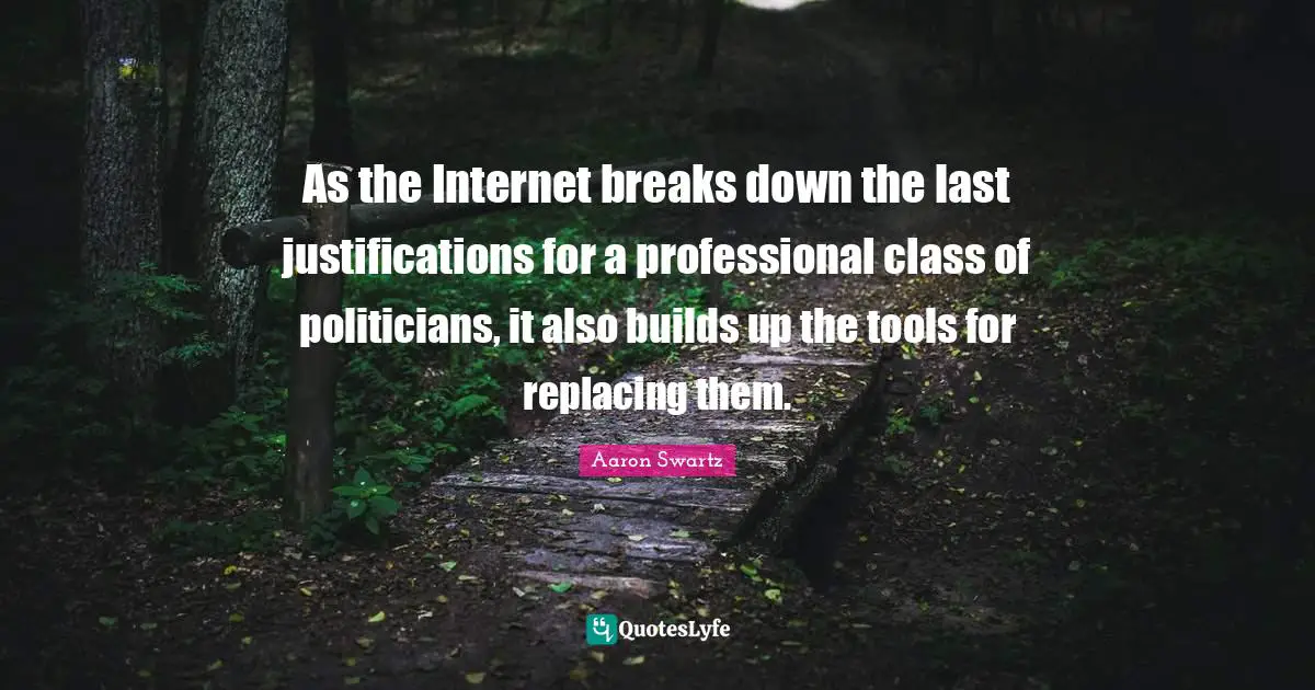 As the Internet breaks down the last justifications for a professional class of politicians, it also builds up the tools for replacing them.