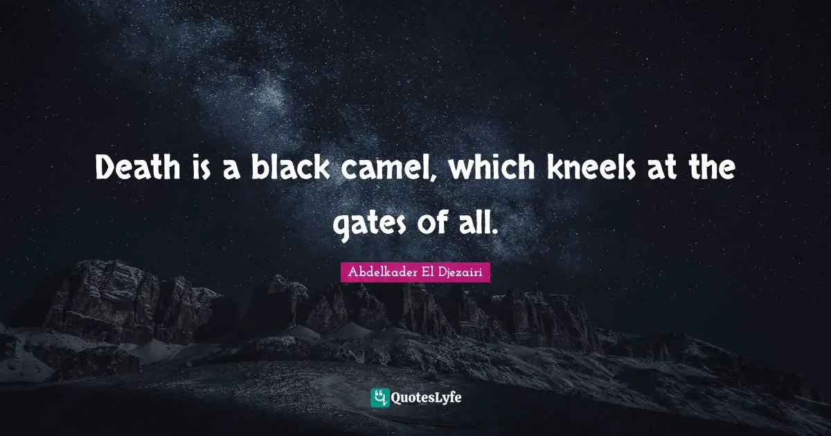 Camels Quotes: "Death is a black camel, which kneels at the gates of all."