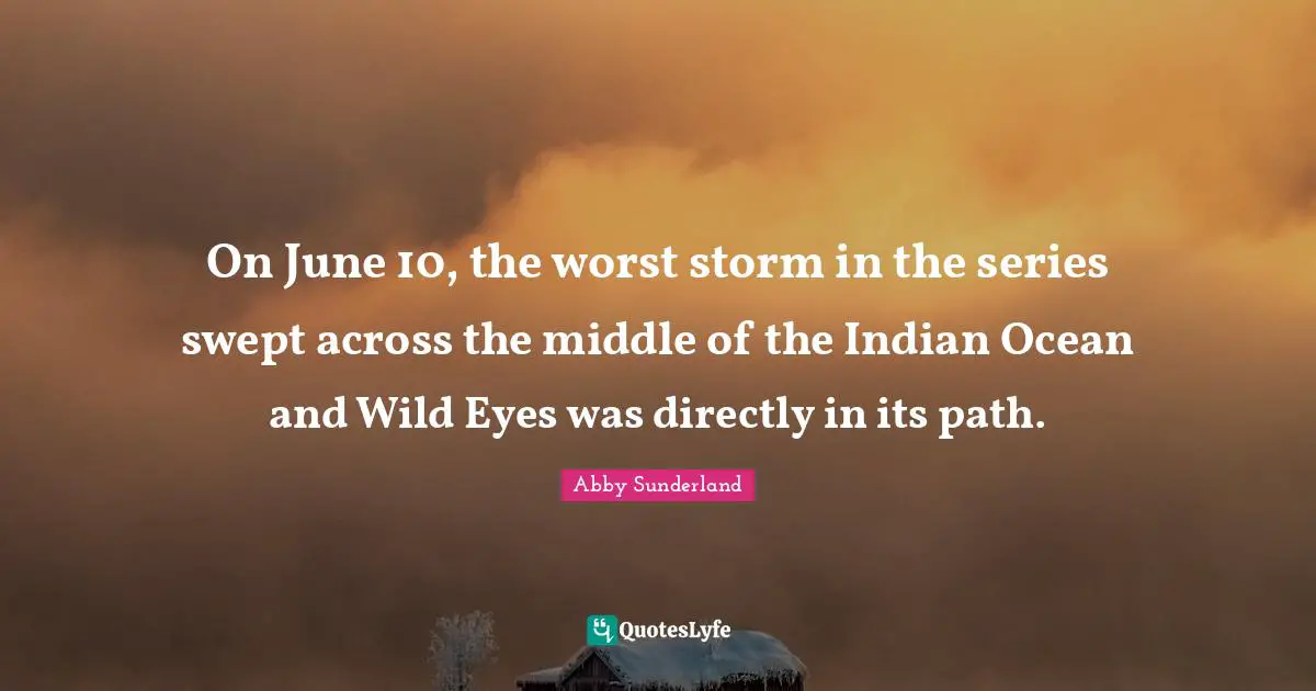 Abby Sunderland Quotes: On June 10, the worst storm in the series swept across the middle of the Indian Ocean and Wild Eyes was directly in its path.