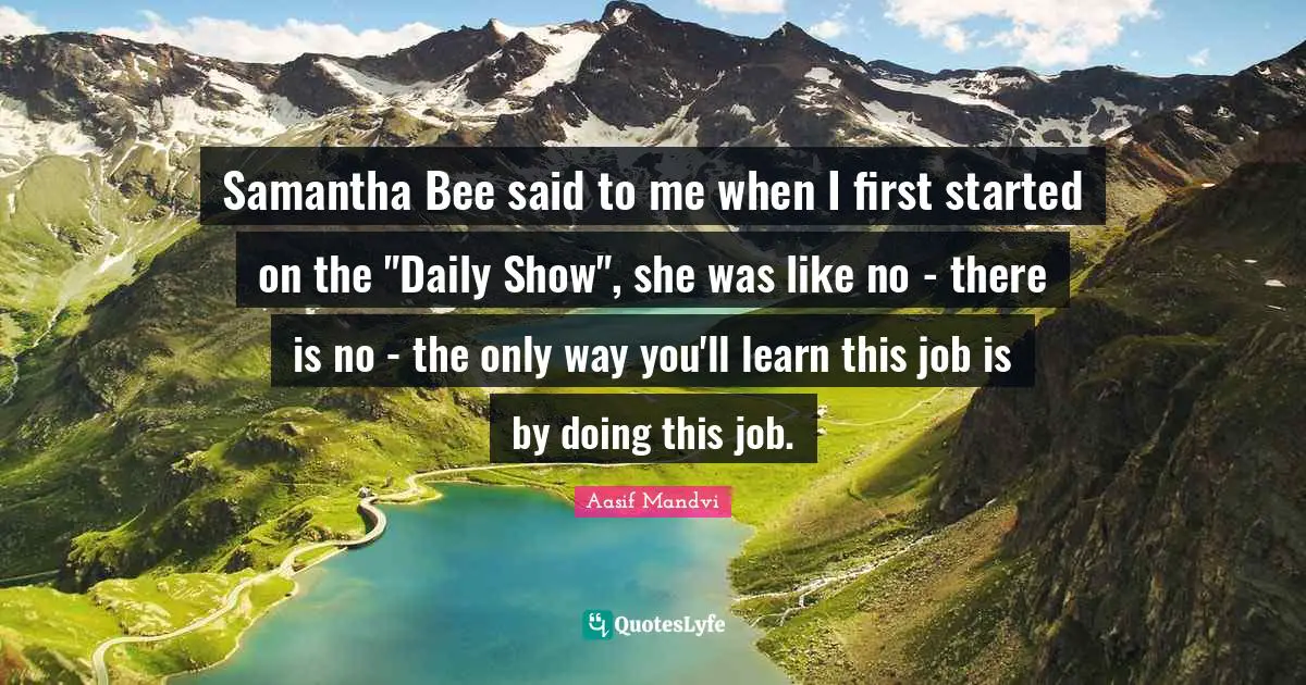 Samantha Bee said to me when I first started on the "Daily Show", she was like no - there is no - the only way you'll learn this job is by doing this job.