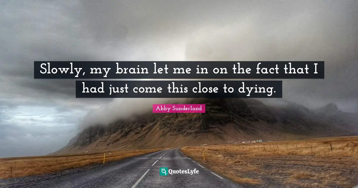 Slowly, my brain let me in on the fact that I had just come this close to dying.
