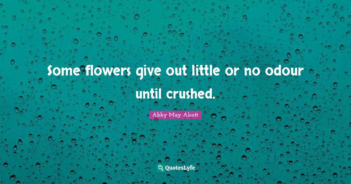 Some flowers give out little or no odour until crushed.