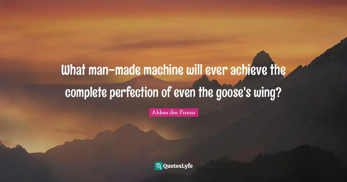 What man-made machine will ever achieve the complete perfection of even the goose's wing?