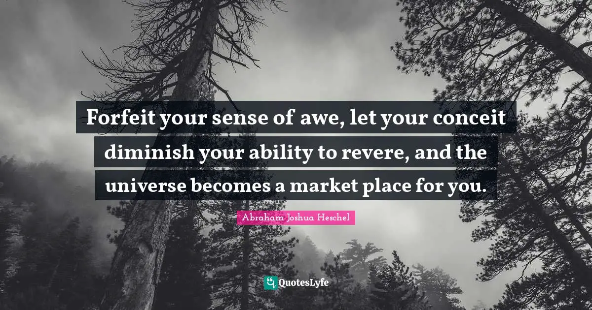 Diminish Quotes: "Forfeit your sense of awe, let your conceit diminish your ability to revere, and the universe becomes a market place for you."