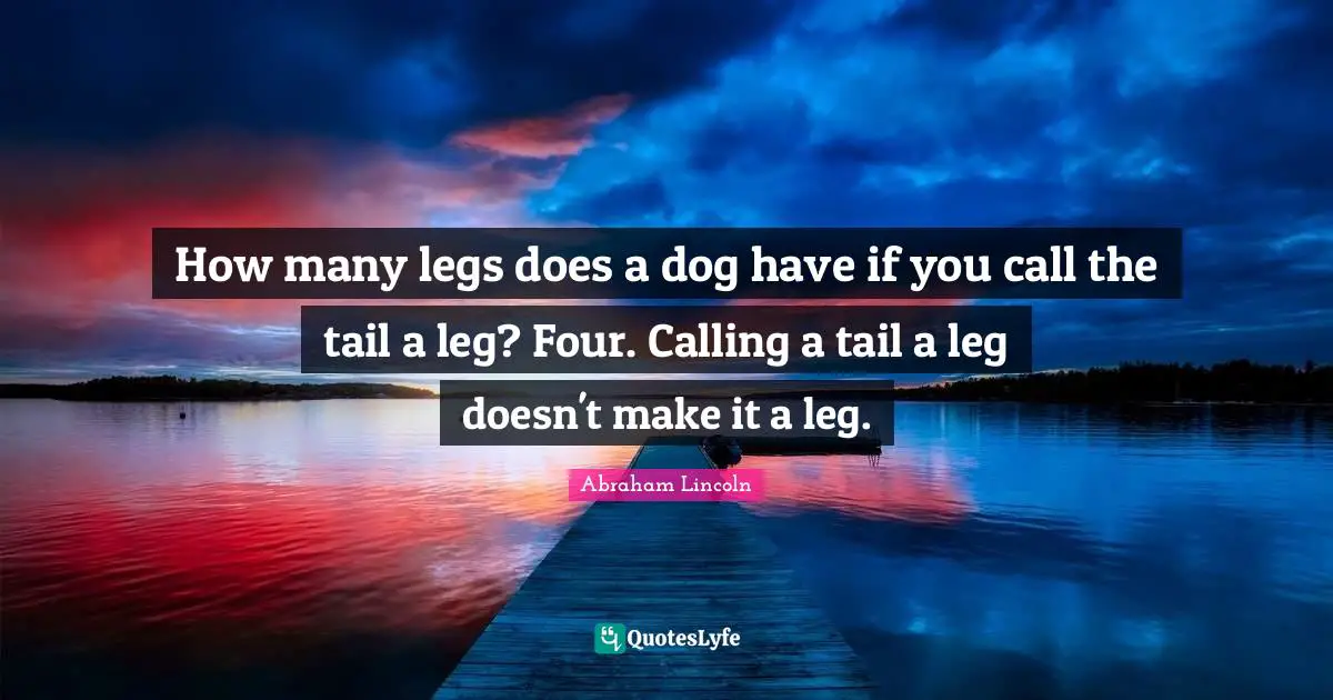 Calling Quotes: "How many legs does a dog have if you call the tail a leg? Four. Calling a tail a leg doesn't make it a leg."