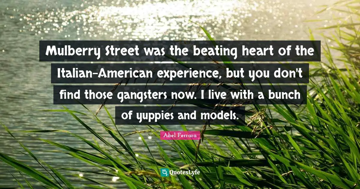 Mulberry Street was the beating heart of the Italian-American experience, but you don't find those gangsters now. I live with a bunch of yuppies and models.