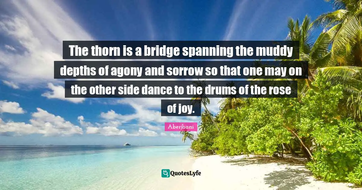 Muddy Quotes: "The thorn is a bridge spanning the muddy depths of agony and sorrow so that one may on the other side dance to the drums of the rose of joy."