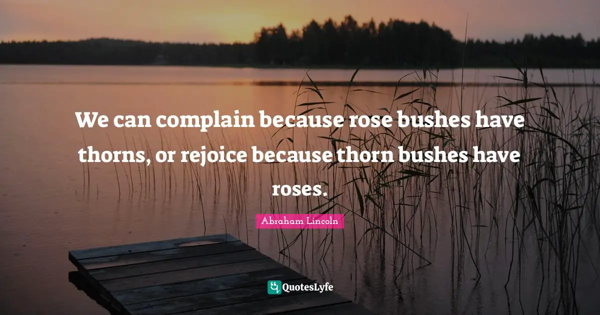 Rose Quotes: "We can complain because rose bushes have thorns, or rejoice because thorn bushes have roses."
