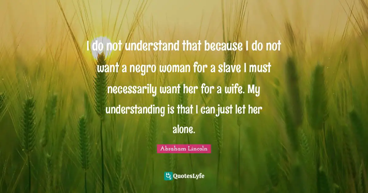 I do not understand that because I do not want a negro woman for a slave I must necessarily want her for a wife. My understanding is that I can just let her alone.