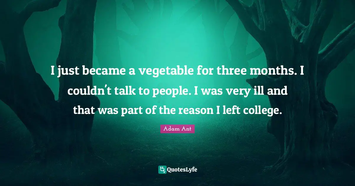 I just became a vegetable for three months. I couldn't talk to people. I was very ill and that was part of the reason I left college.