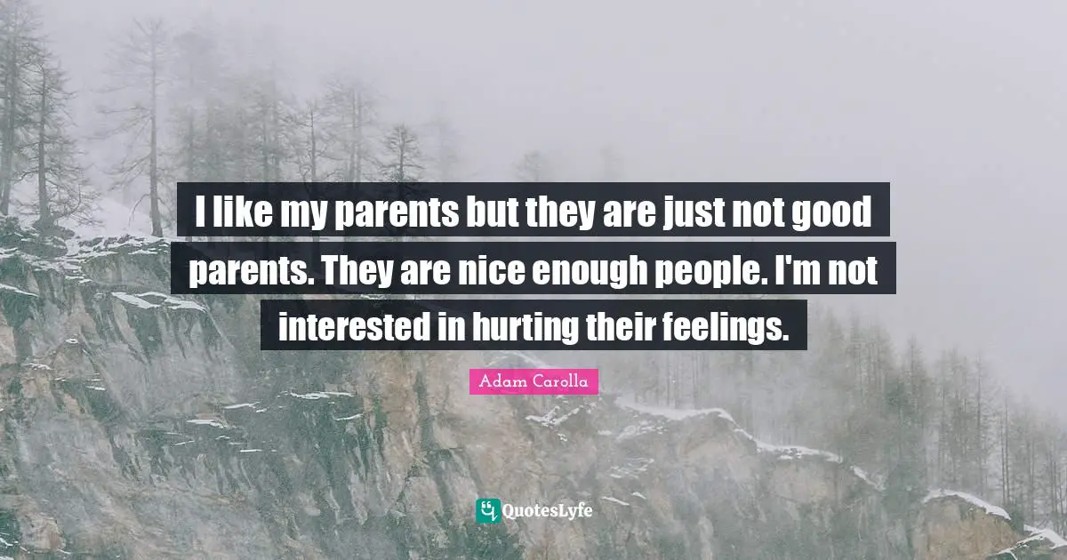 I like my parents but they are just not good parents. They are nice enough people. I'm not interested in hurting their feelings.