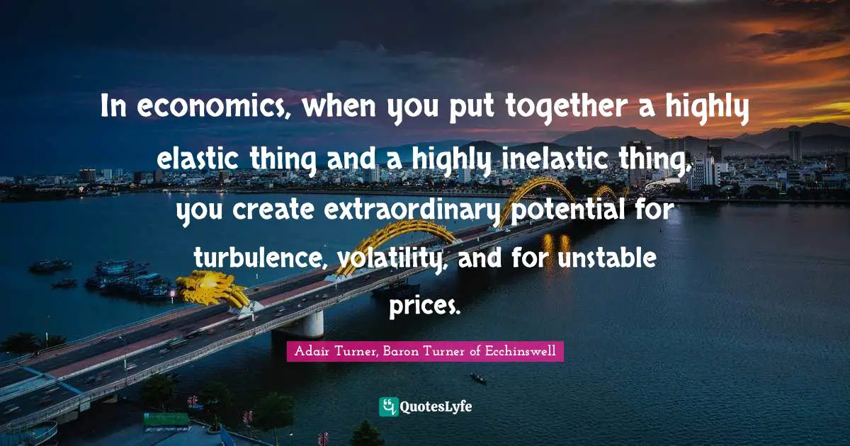 In economics, when you put together a highly elastic thing and a highly inelastic thing, you create extraordinary potential for turbulence, volatility, and for unstable prices.