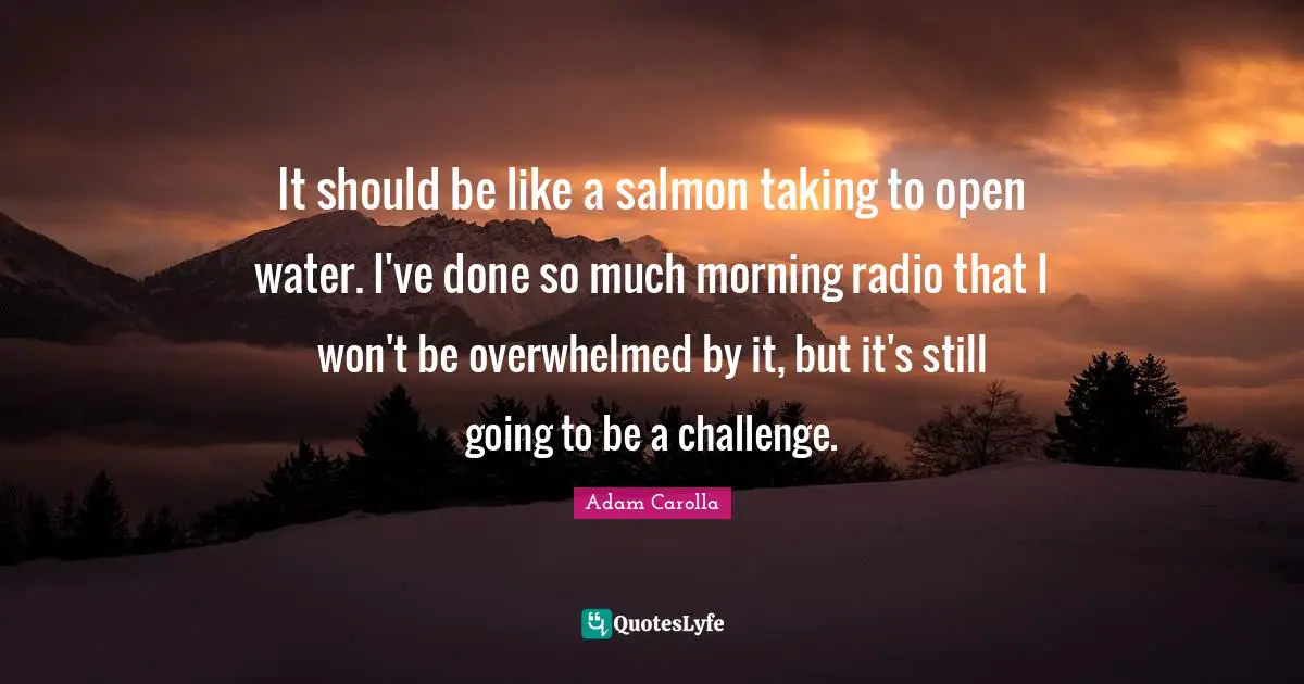 It should be like a salmon taking to open water. I've done so much morning radio that I won't be overwhelmed by it, but it's still going to be a challenge.