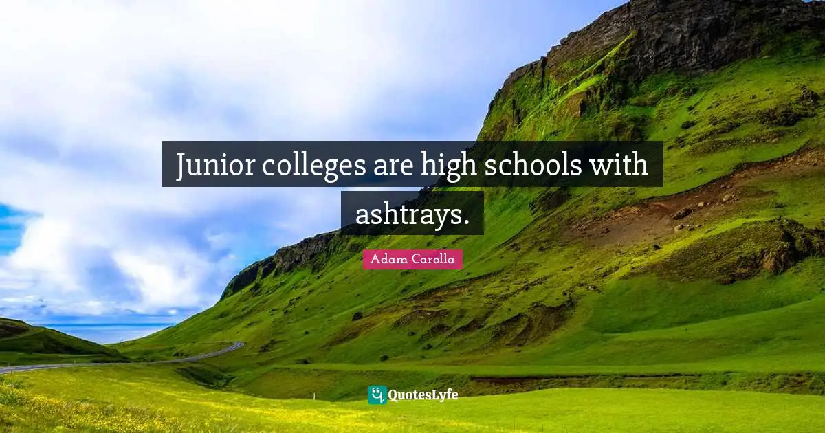 Junior colleges are high schools with ashtrays.