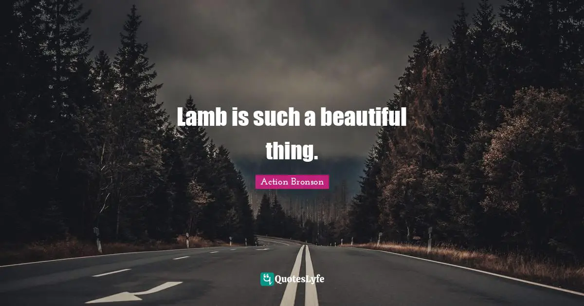 Po Bronson Quotes: "Lamb is such a beautiful thing."